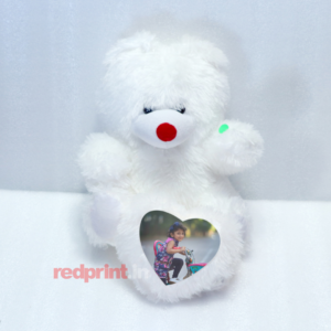 Sublimation LED Teddy Bear