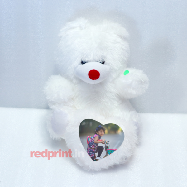 Sublimation LED Teddy Bear